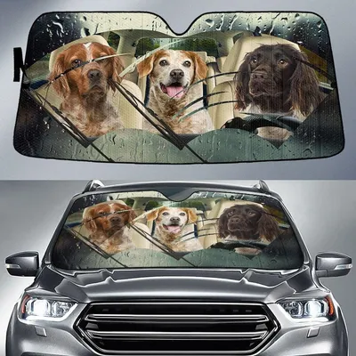 Brittany Rainy Driving Car Sun Shade Cover Auto Windshield PrintSyde, Dog Sun Shade