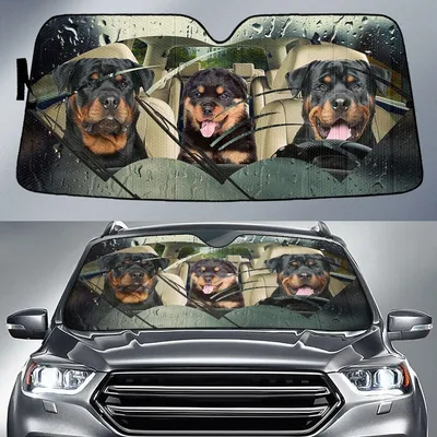 Rottweiler Rainy Driving Car Sun Shade Cover Auto Windshield PrintSyde