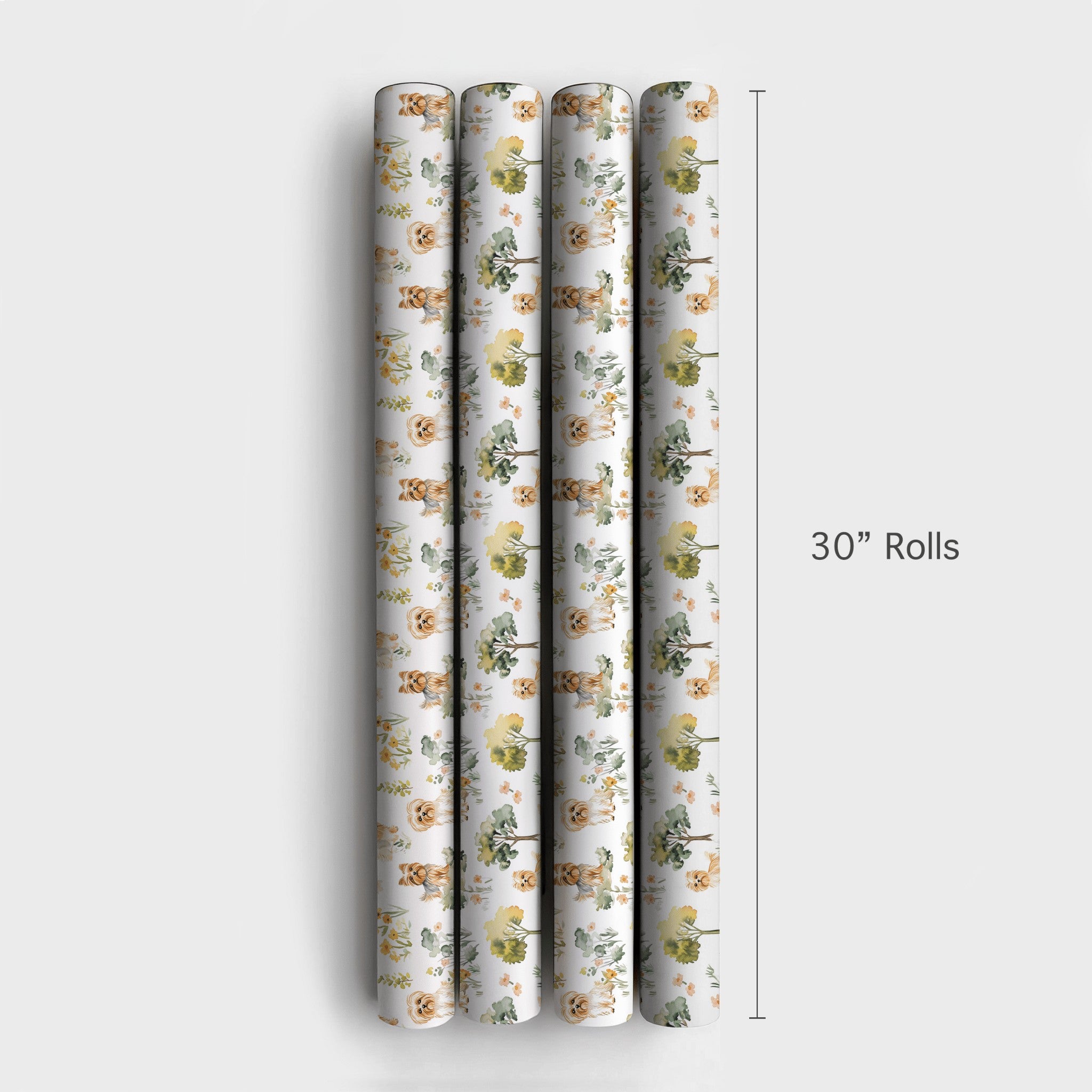 Product 4