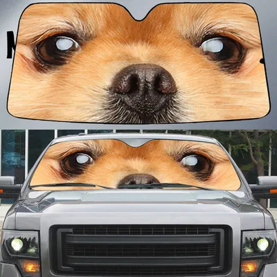 Nice Pomeranian's Eyes Beautiful Dog Eyes Car Sun Shade Cover Auto Windshield