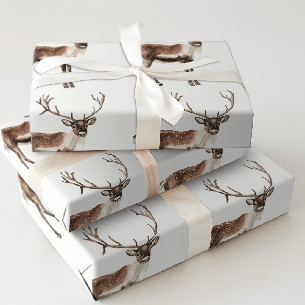 Product 5