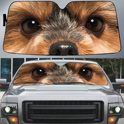 Yorkshire Terrier's Eyes Beautiful Dog Eyes Car Sun Shade Cover Auto Windshield