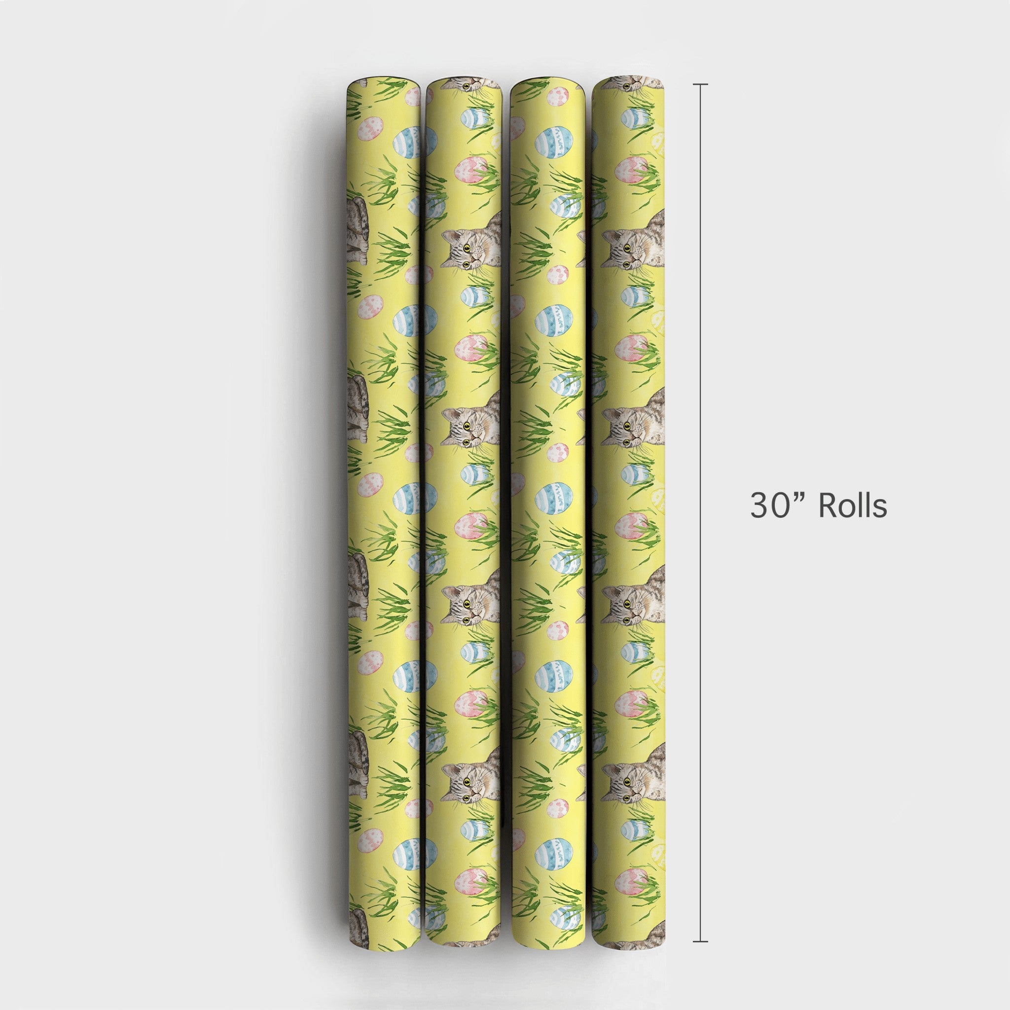 Product 4