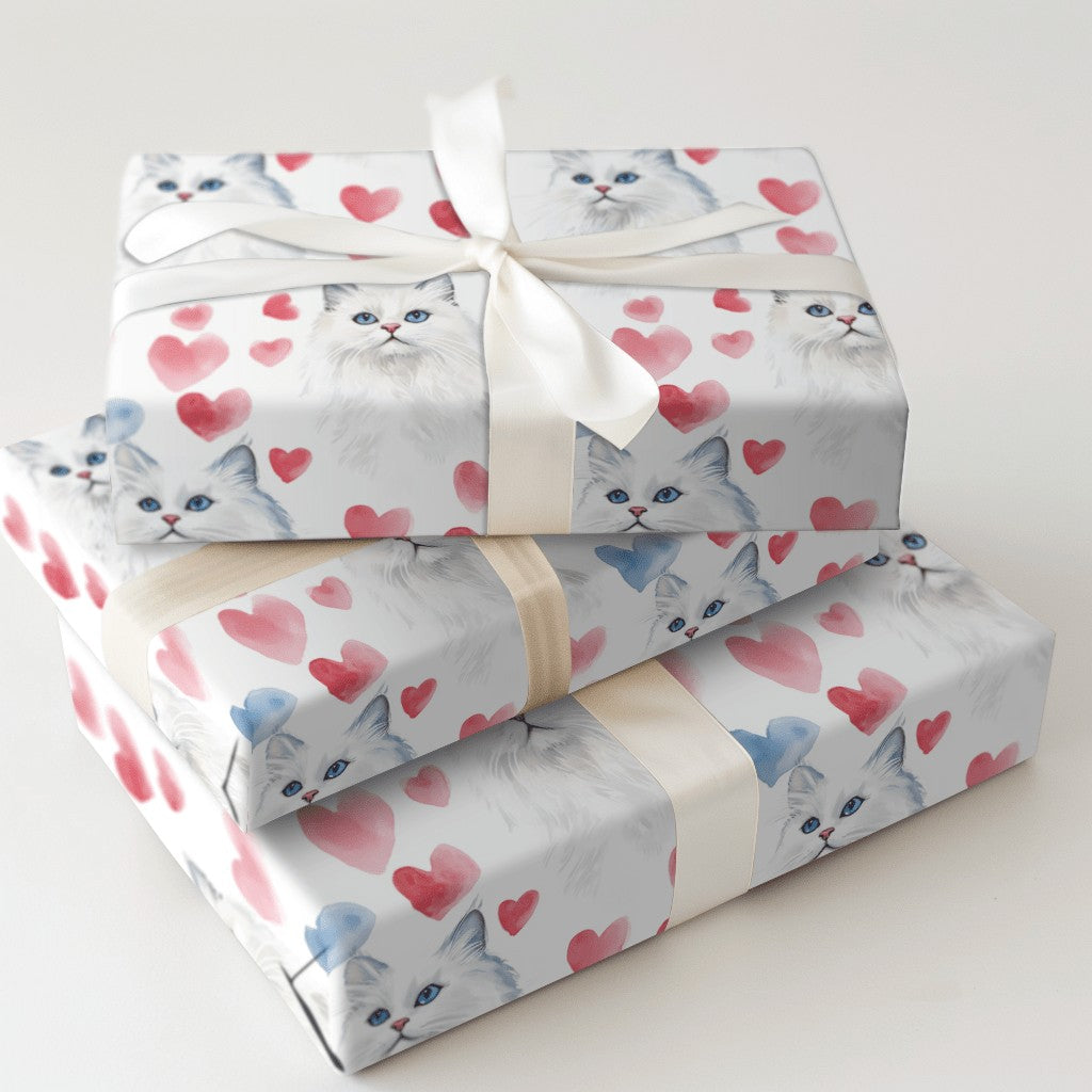 Product 5