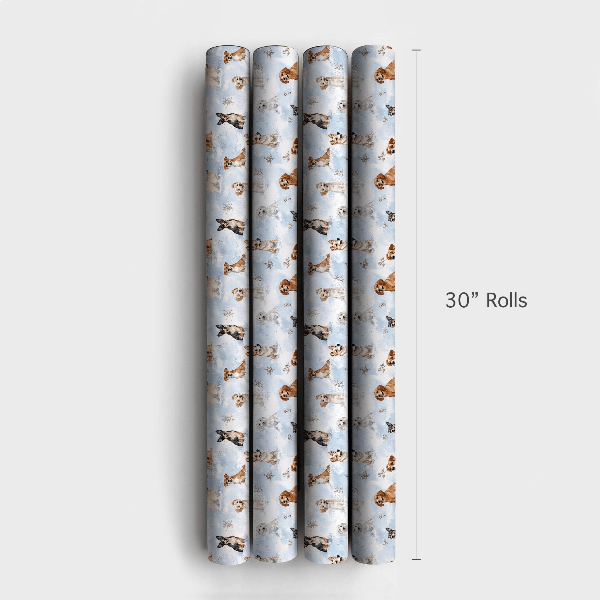 Product 4