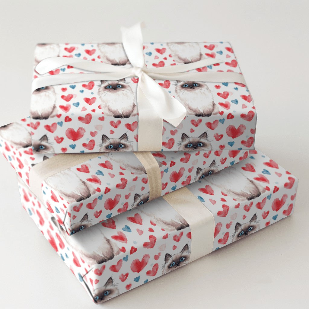Product 5