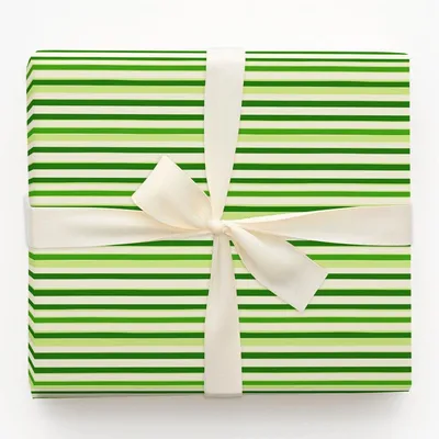 Lime Lane - Gift Wrap for Christmas, Holidays Wrapping Paper, Christmas Wrapping Paper
