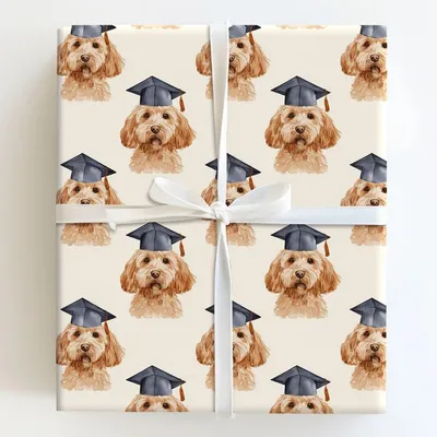 Top of the Class Doodle - Gift Wrap for Christmas, Holidays Wrapping Paper, Christmas Wrapping Paper