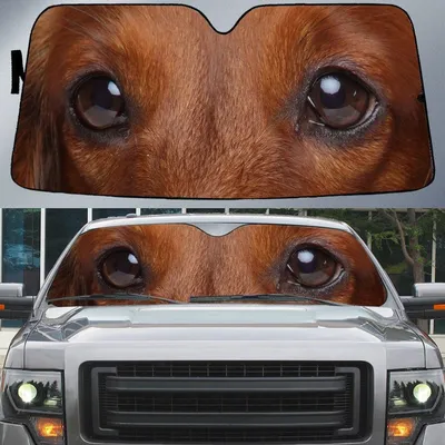 Dachshund's Eyes Beautiful Dog Eyes Car Sun Shade Cover Auto Windshield PrintSyde
