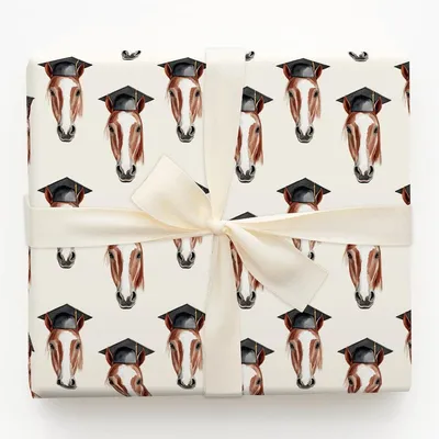 American Paint Graduate - Gift Wrap for Christmas, Holidays Wrapping Paper, Christmas Wrapping Paper