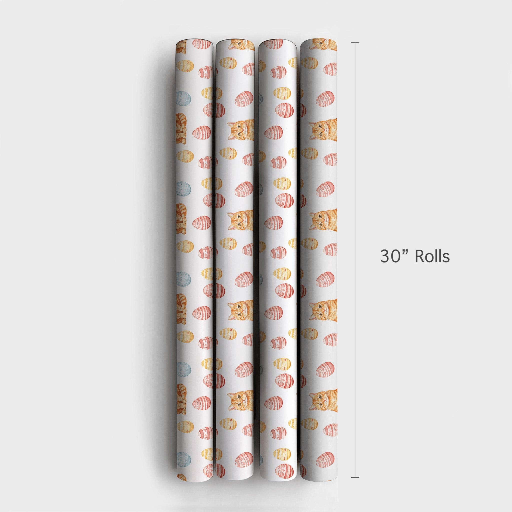 Product 4