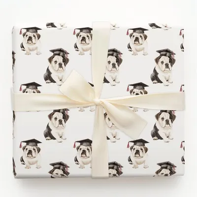 Class Act Bulldog - Gift Wrap for Christmas, Holidays Wrapping Paper, Christmas Wrapping Paper