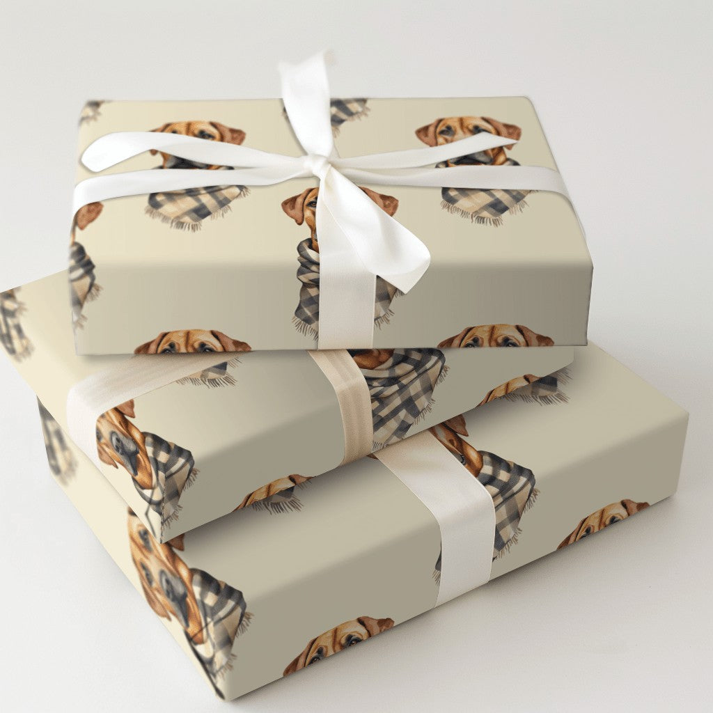Product 5