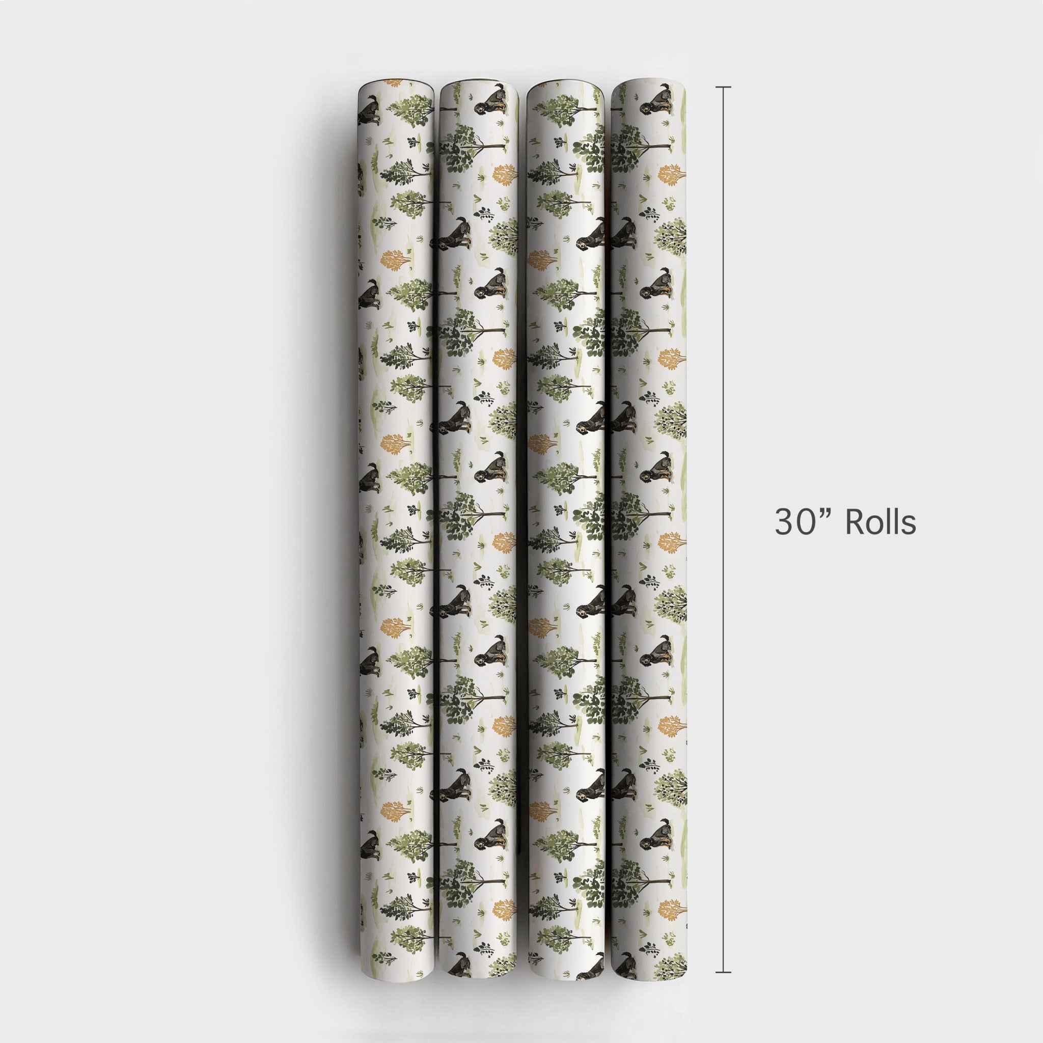 Product 4