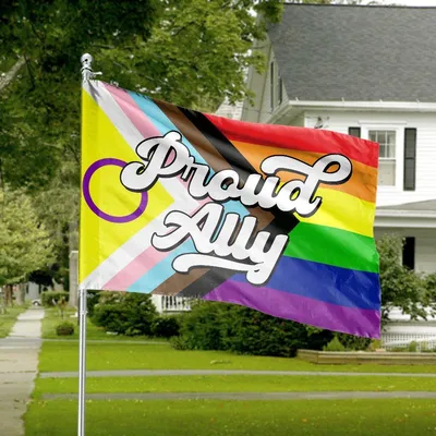 Proud Ally Lgbtq Pride Flag, Rainbow Inclusion Equality Love Support Horizontal House Flag Horizontal House Flag