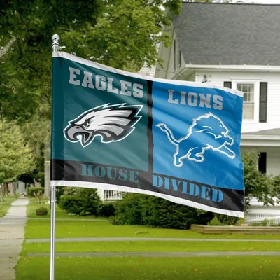 House Divided Horizontal Flag, Eagles, Lions, Nfl Football Rivalry Decor, Green Blue Yard Banner, Game Day Gift Horizontal House Flag