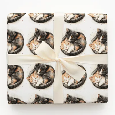 Cuddle Puddle - Gift Wrap for Christmas, Holidays Wrapping Paper, Christmas Wrapping Paper
