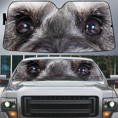 Schnauzer's Eyes Beautiful Dog Eyes Car Sunshade Cover Auto Windshield