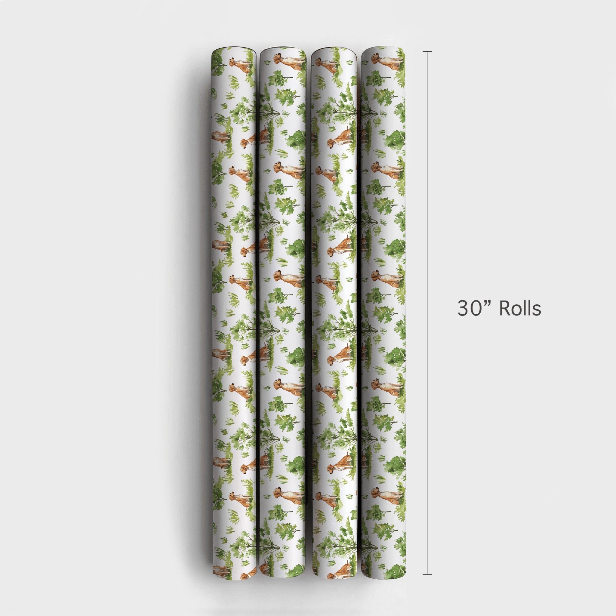Product 4