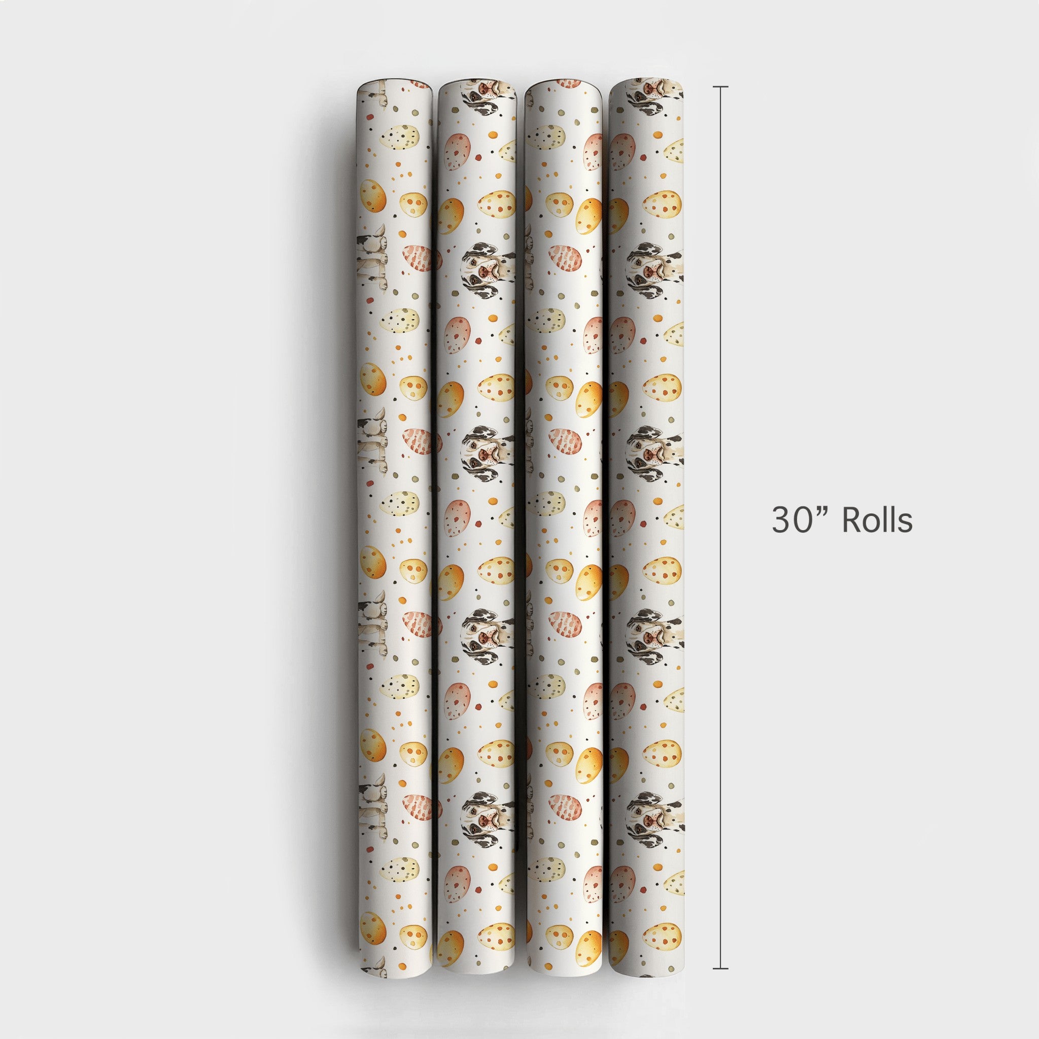 Product 4