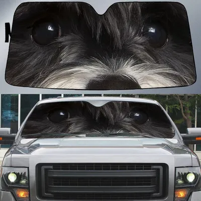Schnauzer's Eyes Beautiful Dog Eyes Car Sun Shade Cover Auto Windshield