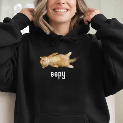 Eepy Cat, Silly Sleepy Cat Meme Hoodie,Vintage Unhinged Cat Hoodie,Silly Cat Graphic Hoodie,Weird Humor Unisex Hoodie