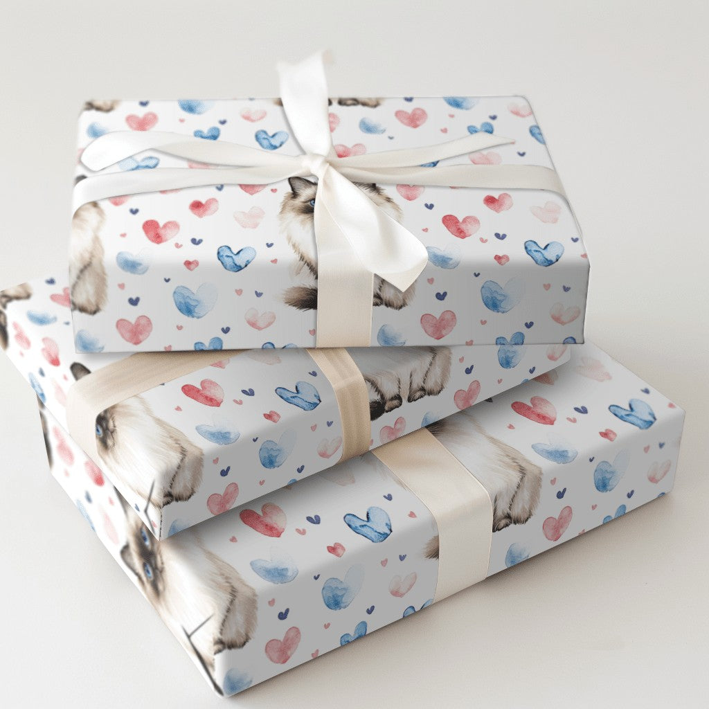 Product 5