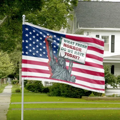 What Fresh Horror Do We Have Today , Statue Of Liberty Political Satire Art American Flag Social Commentary Poster Wall Decor Humor Expression Print Horizontal House Flag