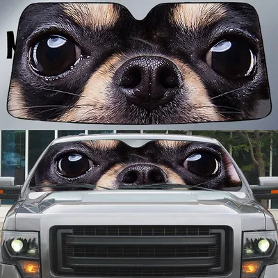 Chihuahua's Eyes Beautiful Dog Eyes Car Sunshade Cover Auto Windshield