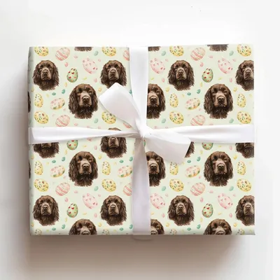 Easter Eggs with the Boykin Spaniel - Gift Wrap for Christmas, Holidays Wrapping Paper, Christmas Wrapping Paper