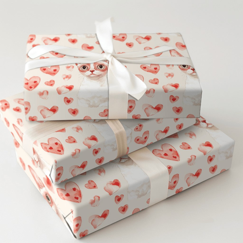 Product 5