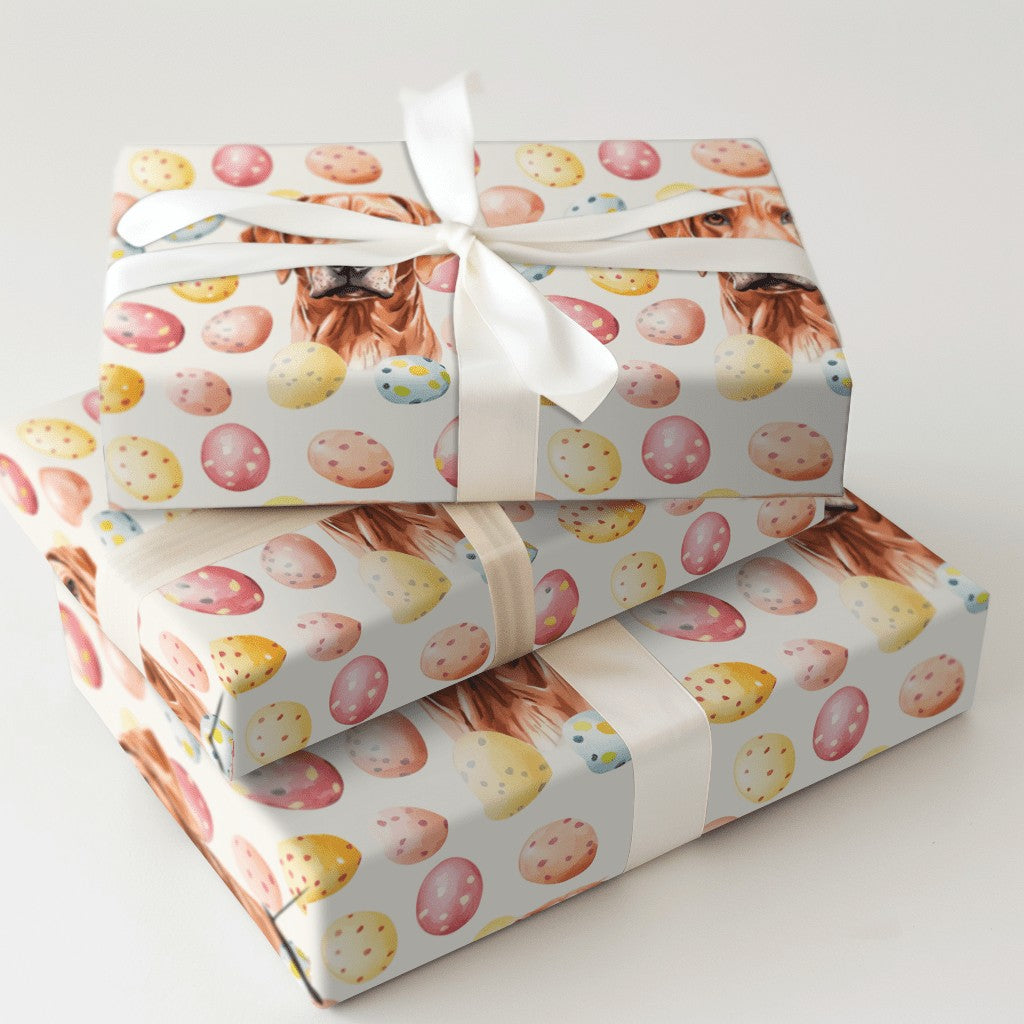 Product 5