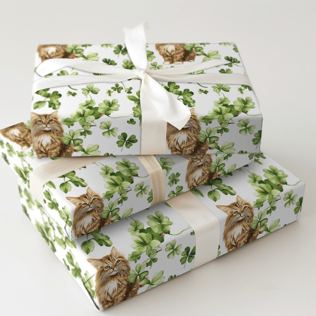 Product 5