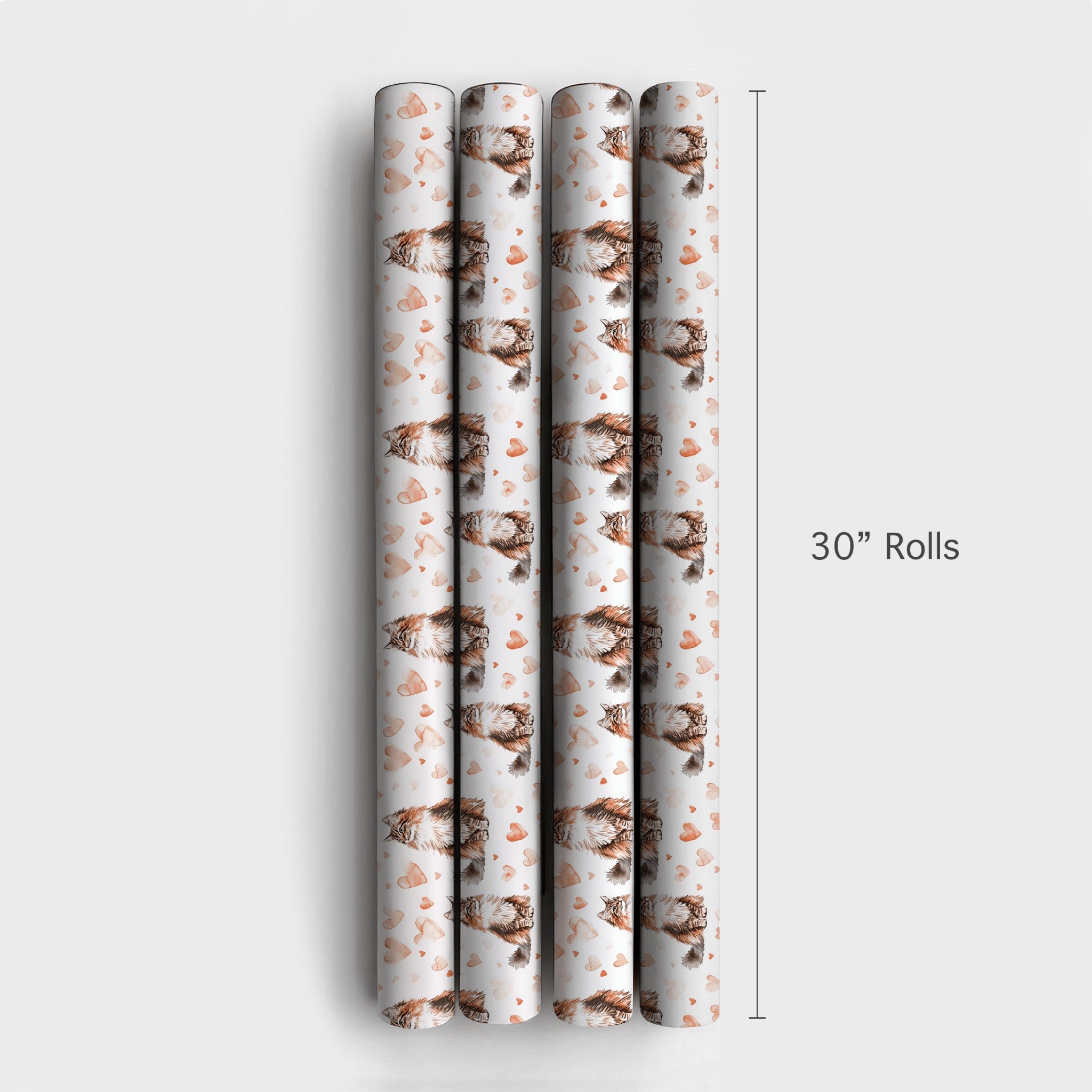 Product 4