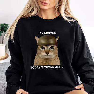 Surived Todays Tummy Ache Y2k Sweatshirt Cherrykitten Retro Funny Meme Unisex Sweatshirt Vintage Graphic Sweatshirt Top Womenswear