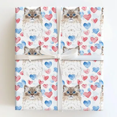 Purr and Paws - Gift Wrap for Christmas, Holidays Wrapping Paper, Christmas Wrapping Paper