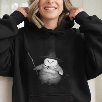 Wizard Cat Vintage Hoodie Cat Hoodie Meme Cringe Funny Dumb Hoodie Unisex Movie Hoodie Menswear Womenswear Streetwear