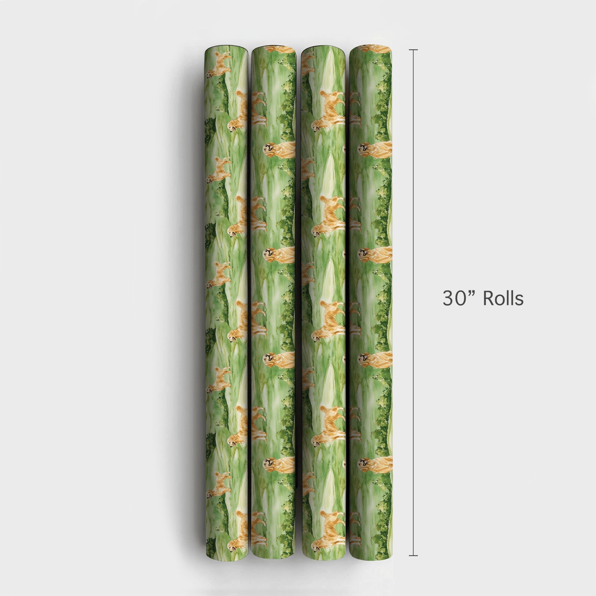 Product 4