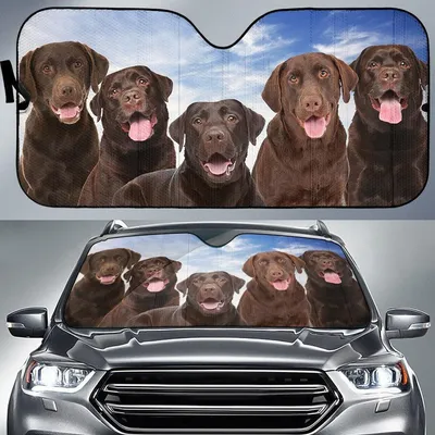 Chocolate Labrador For Dog Lovers Printed Car Sun Shade Cover Auto Windshield PrintSyde