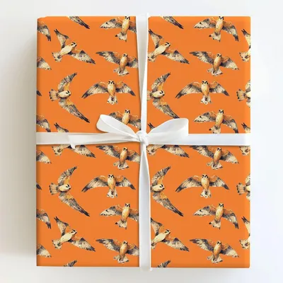 Take To The Sky - Gift Wrap for Christmas, Holidays Wrapping Paper, Christmas Wrapping Paper