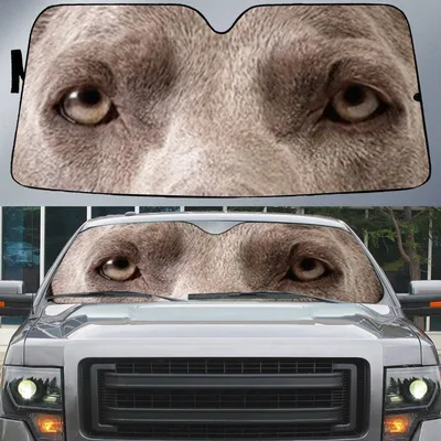 Weimaraner Eyes Beautiful Dog Eyes Car Sun Shade Cover Auto Windshield
