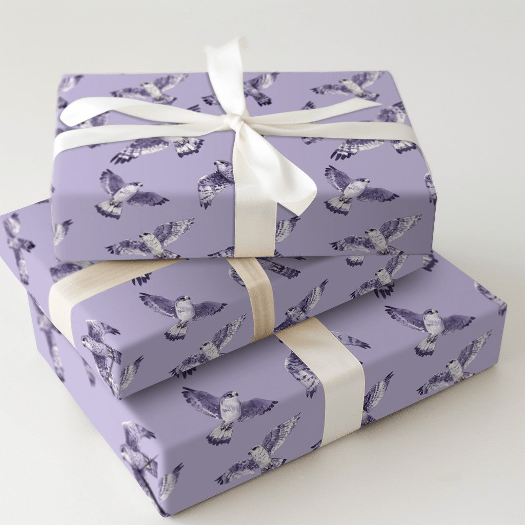 Product 5
