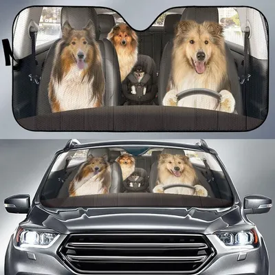 Funny Moment Rough Collie Dog Printed Car Sun Shade Cover Auto Windshield PrintSyde