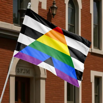 Straight Ally Lgbtq+ Rainbow Triangle Pride Decorative Horizontal House Flag Horizontal House Flag