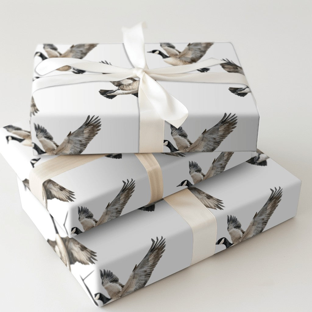 Product 5