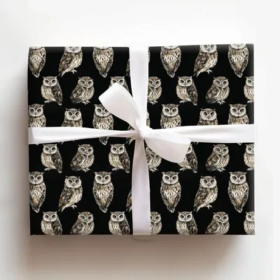 Know It Owl - Gift Wrap for Christmas, Holidays Wrapping Paper, Christmas Wrapping Paper