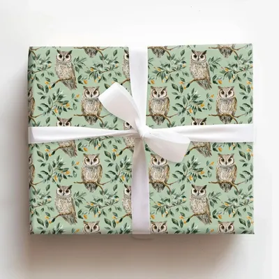 Owl Day Every Day - Gift Wrap for Christmas, Holidays Wrapping Paper, Christmas Wrapping Paper